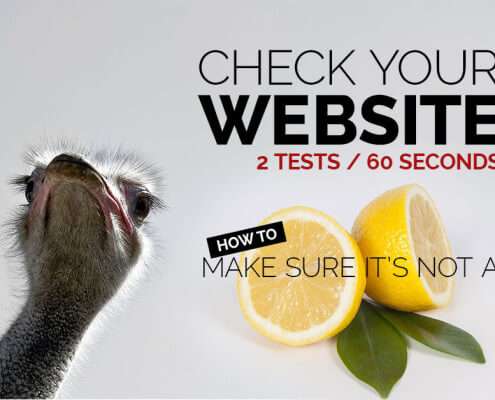 Check your website to make sure its not a lemon. SEO Canonical Issues