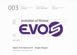 Evos Logo Redesign Update